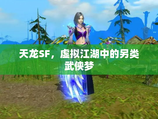 天龙SF，虚拟江湖中的另类武侠梦