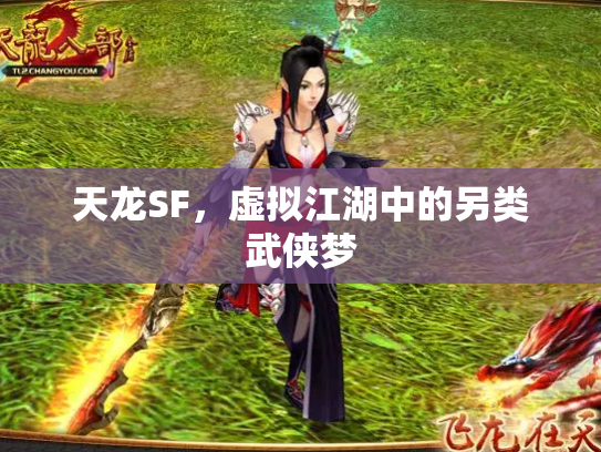 天龙SF，虚拟江湖中的另类武侠梦