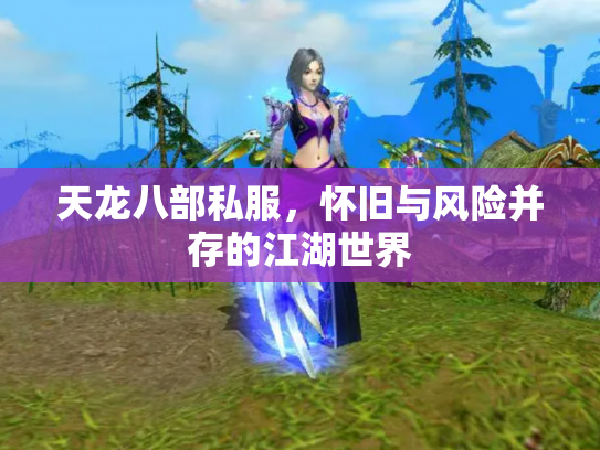 天龙八部私服，怀旧与风险并存的江湖世界