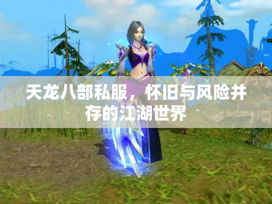 天龙八部私服，怀旧与风险并存的江湖世界