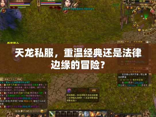 天龙私服，重温经典还是法律边缘的冒险？