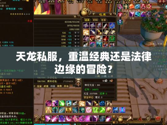 天龙私服，重温经典还是法律边缘的冒险？