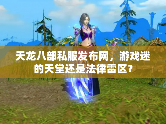 天龙八部私服发布网，游戏迷的天堂还是法律雷区？