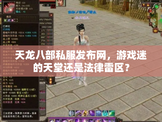天龙八部私服发布网，游戏迷的天堂还是法律雷区？