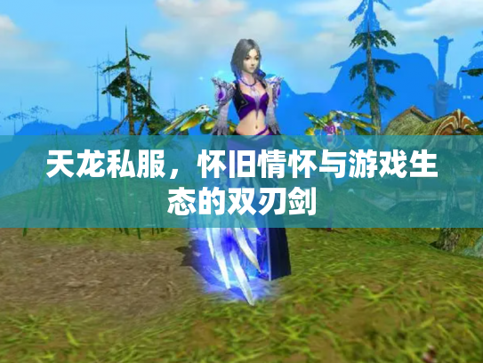 天龙私服，怀旧情怀与游戏生态的双刃剑