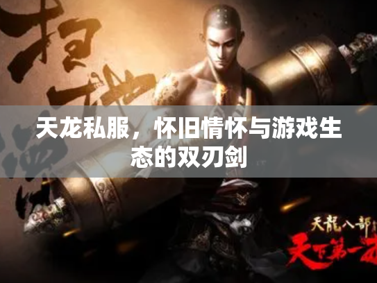 天龙私服，怀旧情怀与游戏生态的双刃剑