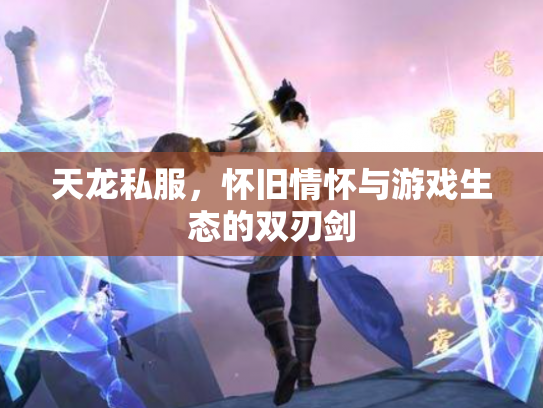 天龙私服，怀旧情怀与游戏生态的双刃剑