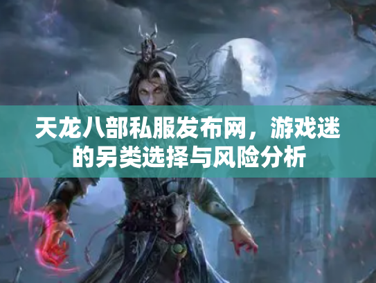 天龙八部私服发布网，游戏迷的另类选择与风险分析