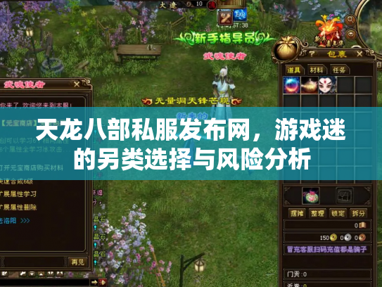 天龙八部私服发布网，游戏迷的另类选择与风险分析
