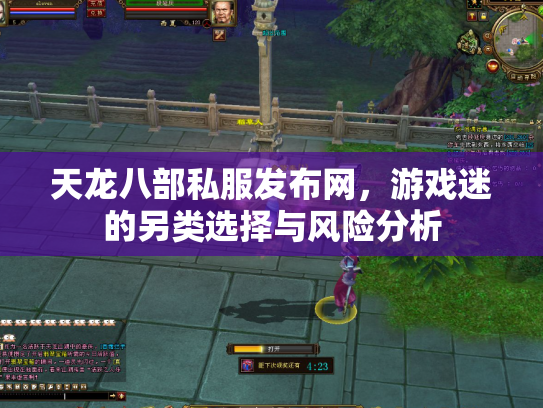 天龙八部私服发布网，游戏迷的另类选择与风险分析