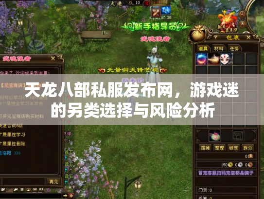 天龙八部私服发布网，游戏迷的另类选择与风险分析