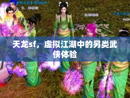 天龙sf，虚拟江湖中的另类武侠体验