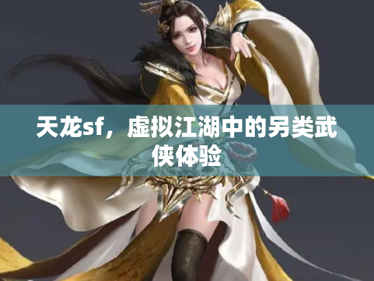 天龙sf，虚拟江湖中的另类武侠体验