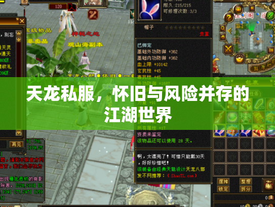 天龙私服，怀旧与风险并存的江湖世界