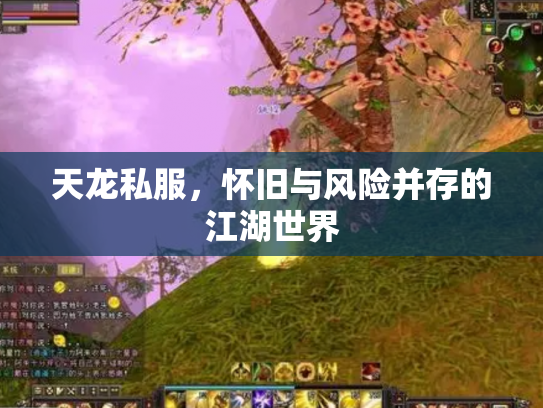 天龙私服，怀旧与风险并存的江湖世界