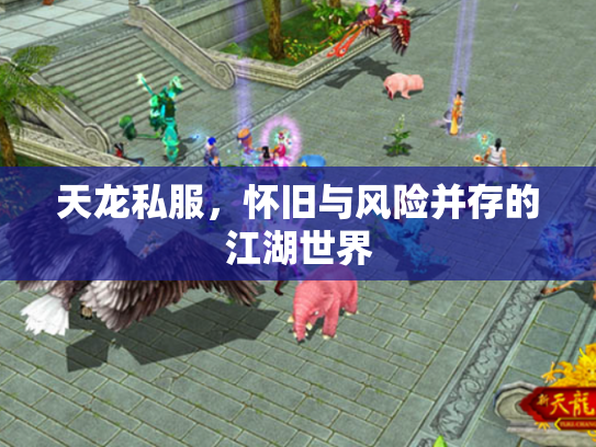 天龙私服，怀旧与风险并存的江湖世界