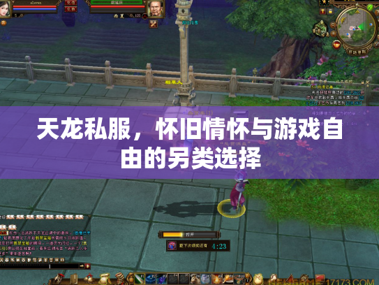 天龙私服，怀旧情怀与游戏自由的另类选择