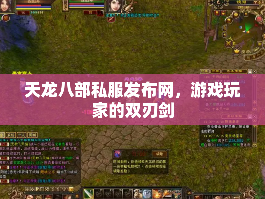 天龙八部私服发布网，游戏玩家的双刃剑
