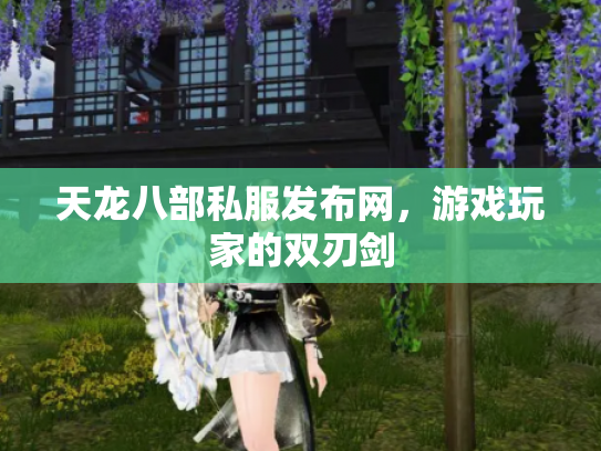 天龙八部私服发布网，游戏玩家的双刃剑