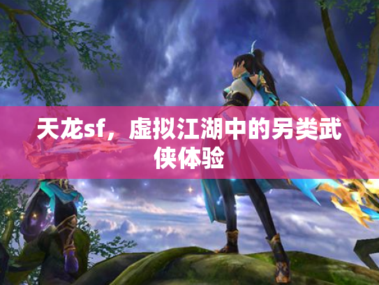 天龙sf，虚拟江湖中的另类武侠体验
