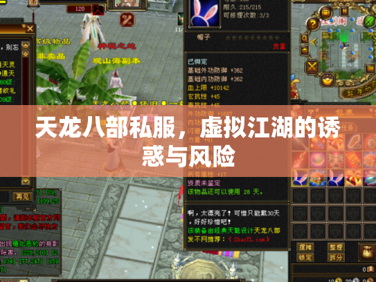 天龙八部私服，虚拟江湖的诱惑与风险