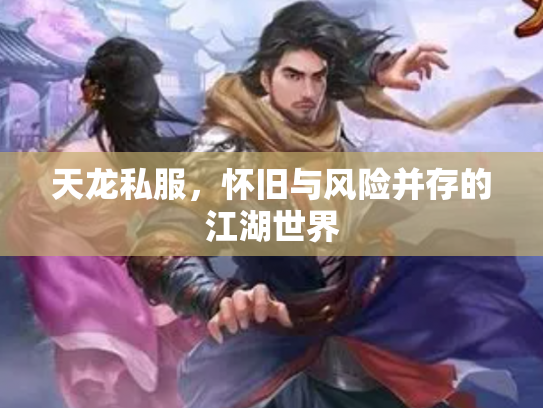 天龙私服，怀旧与风险并存的江湖世界