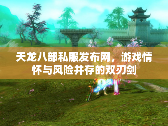 天龙八部私服发布网，游戏情怀与风险并存的双刃剑