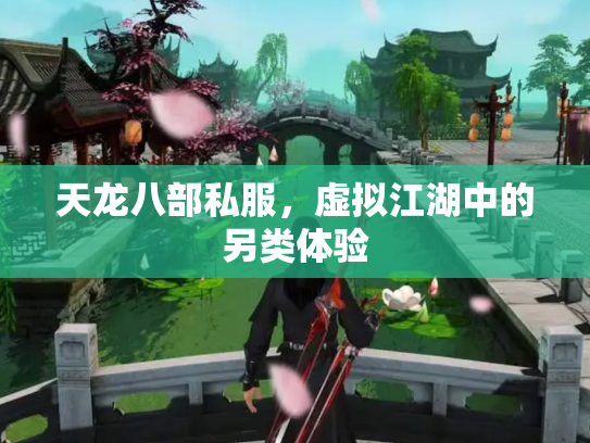 天龙八部私服，虚拟江湖中的另类体验