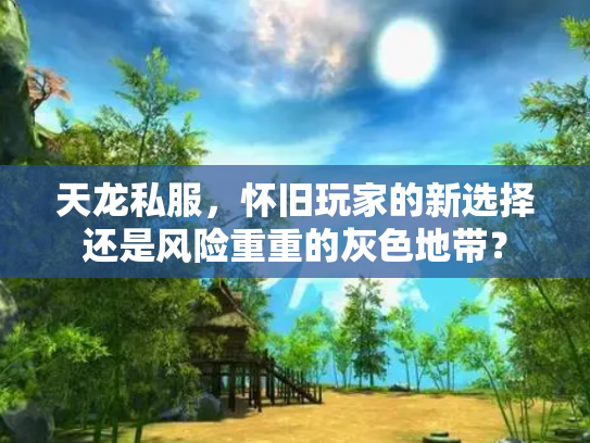 天龙私服，怀旧玩家的新选择还是风险重重的灰色地带？