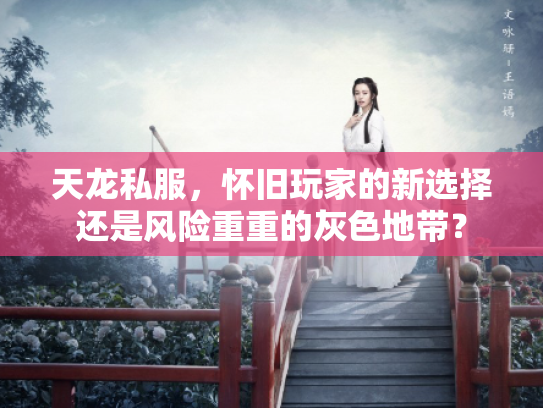 天龙私服，怀旧玩家的新选择还是风险重重的灰色地带？