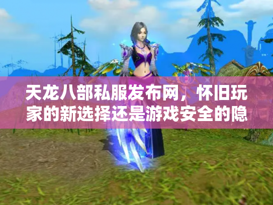 天龙八部私服发布网，怀旧玩家的新选择还是游戏安全的隐患？
