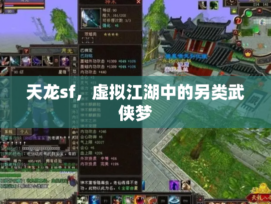 天龙sf，虚拟江湖中的另类武侠梦