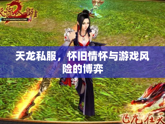 天龙私服，怀旧情怀与游戏风险的博弈