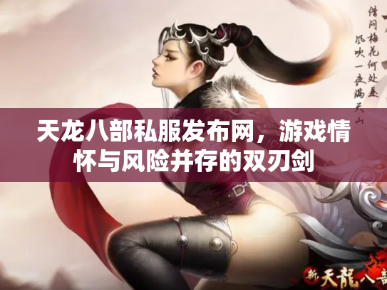 天龙八部私服发布网，游戏情怀与风险并存的双刃剑
