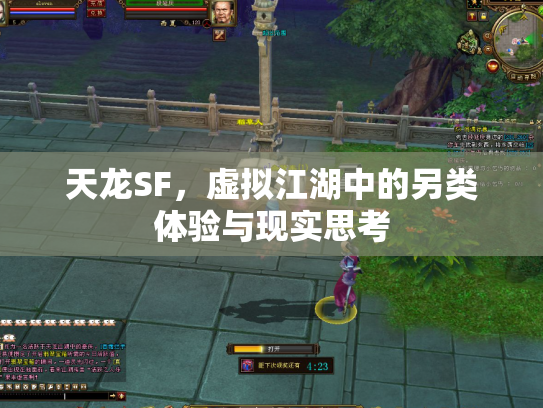 天龙SF，虚拟江湖中的另类体验与现实思考
