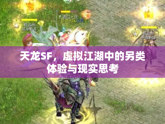 天龙SF，虚拟江湖中的另类体验与现实思考