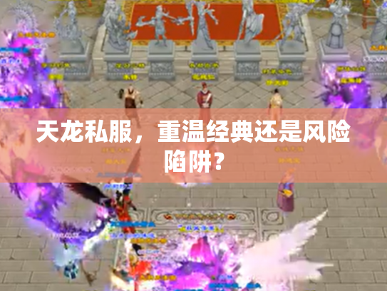 天龙私服，重温经典还是风险陷阱？