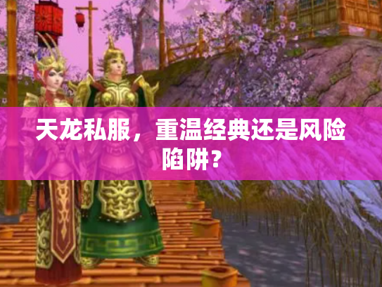天龙私服，重温经典还是风险陷阱？