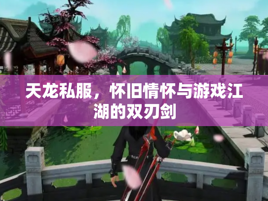 天龙私服，怀旧情怀与游戏江湖的双刃剑