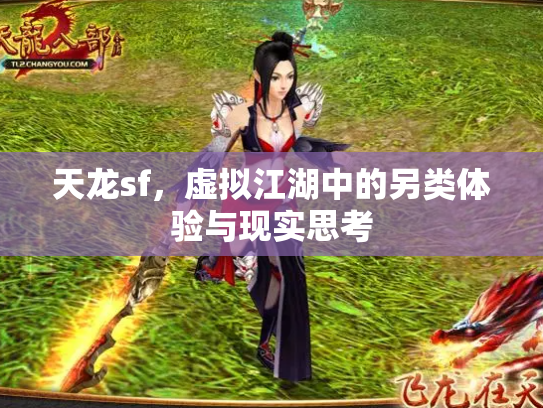 天龙sf，虚拟江湖中的另类体验与现实思考