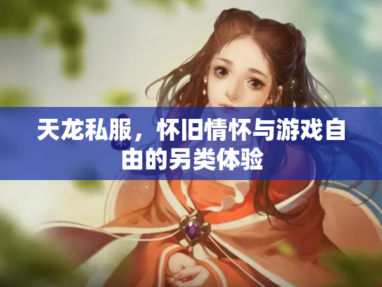 天龙私服，怀旧情怀与游戏自由的另类体验