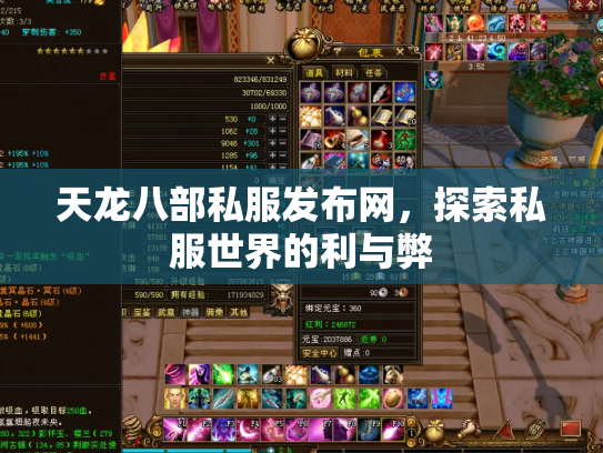 天龙八部私服发布网，探索私服世界的利与弊