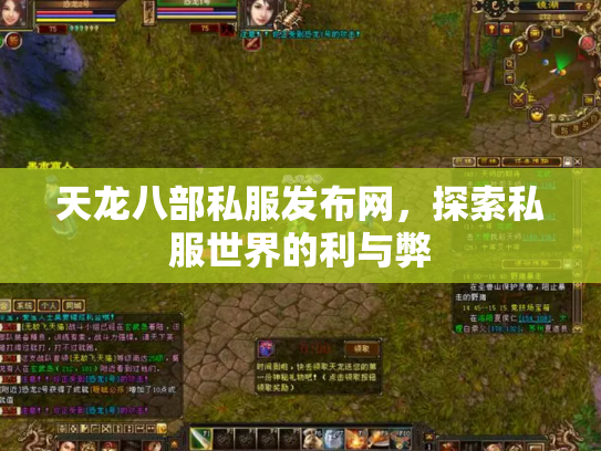 天龙八部私服发布网，探索私服世界的利与弊