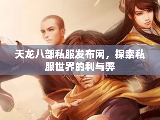 天龙八部私服发布网，探索私服世界的利与弊