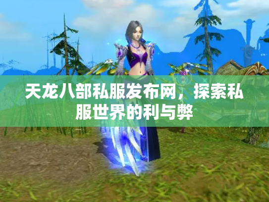 天龙八部私服发布网，探索私服世界的利与弊