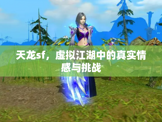 天龙sf，虚拟江湖中的真实情感与挑战