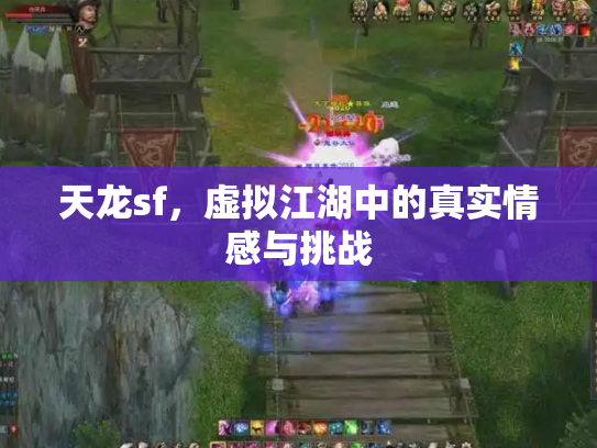 天龙sf，虚拟江湖中的真实情感与挑战