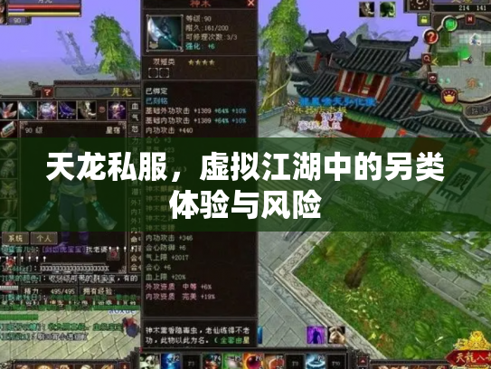 天龙私服，虚拟江湖中的另类体验与风险