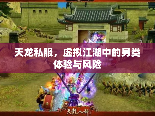 天龙私服，虚拟江湖中的另类体验与风险