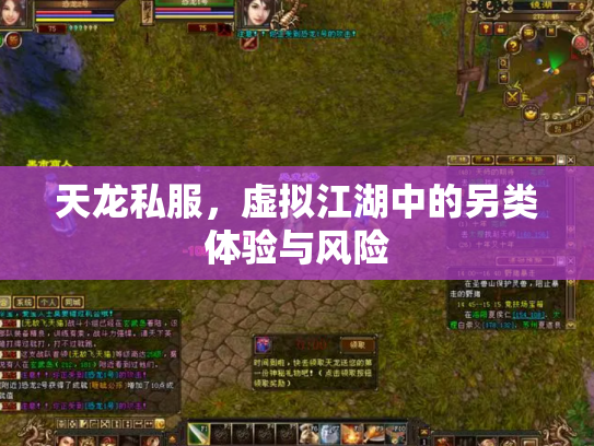 天龙私服，虚拟江湖中的另类体验与风险